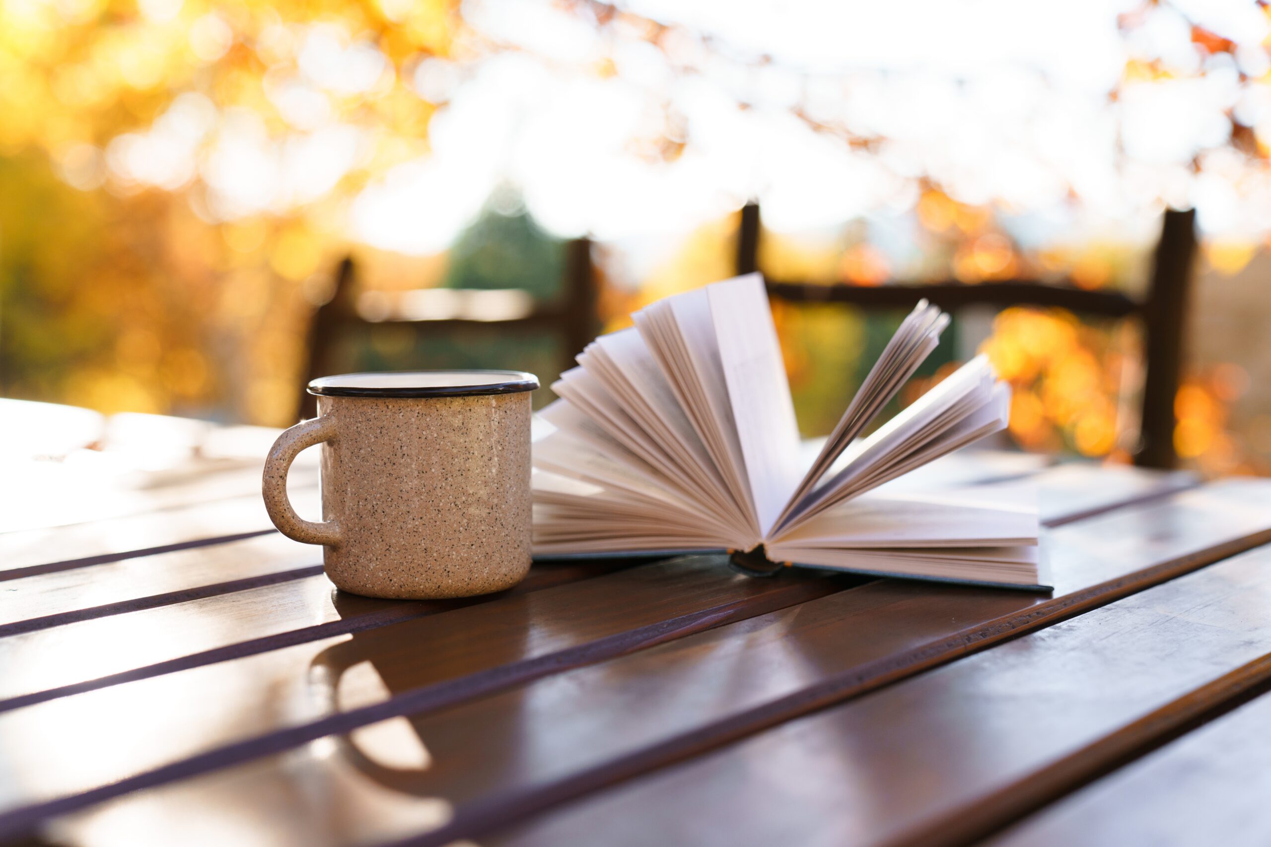 book and cup on bench